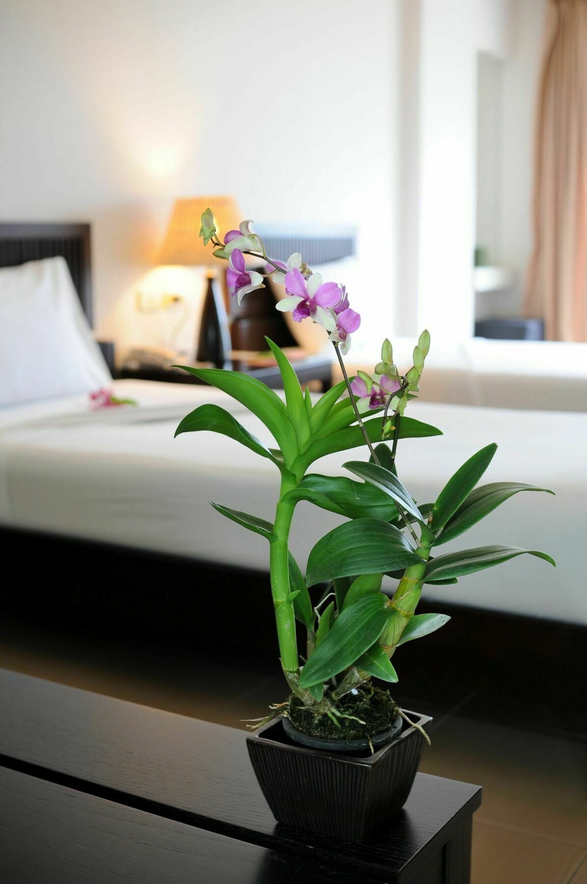 Kasemsarn Hotel Chanthaburi Exterior foto